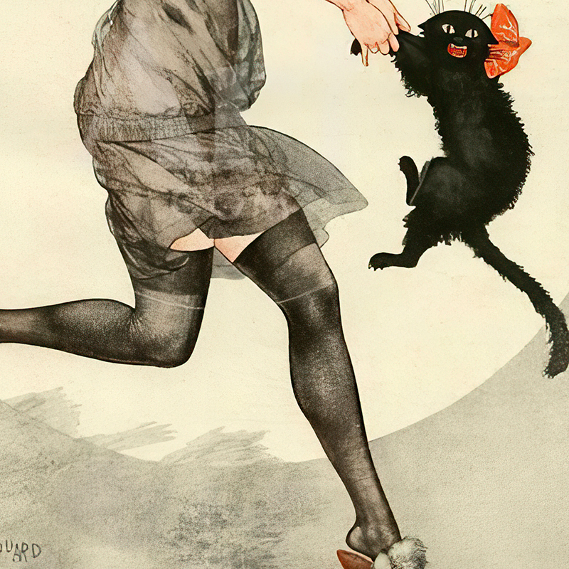 Woman and Black Cat Dancing Vi - Vintage Fashion Magazine Covers ulasan dan harga